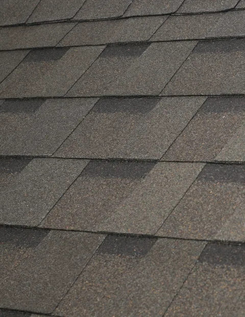 Atlas Pinnacle Pristine roofing shingle in Heatherblend